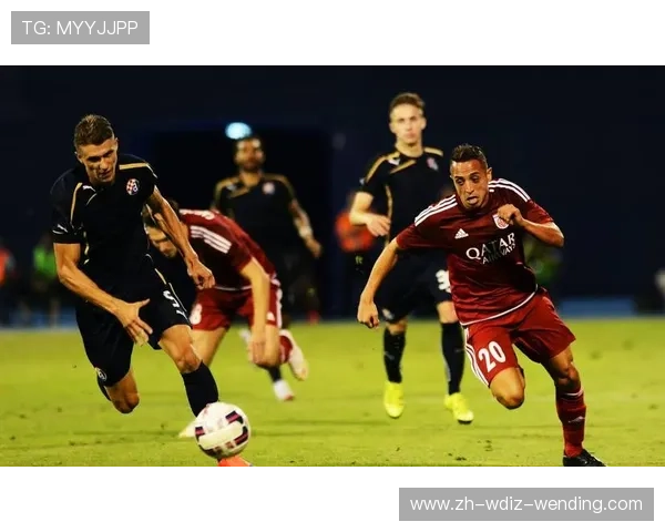 欧冠贝游击队：贝尔格莱德游击队在欧冠的精彩表现与历史战绩