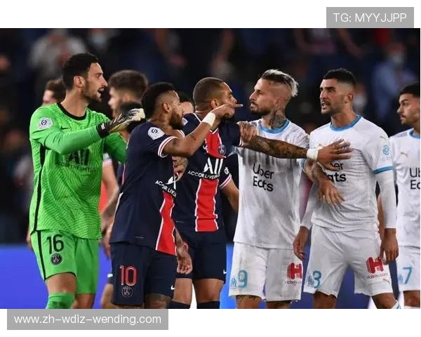 法甲裁判执法标准统一性与判罚争议探讨