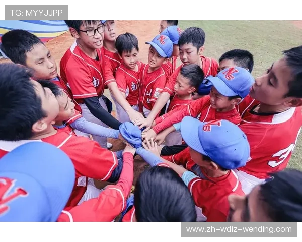 青少年棒球普及的挑战与解决方案 青少年棒球普及的挑战与解决方案